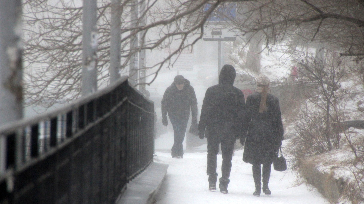 Метель и снег, который не тает: дан неутешительный прогноз на выходные в Приморье