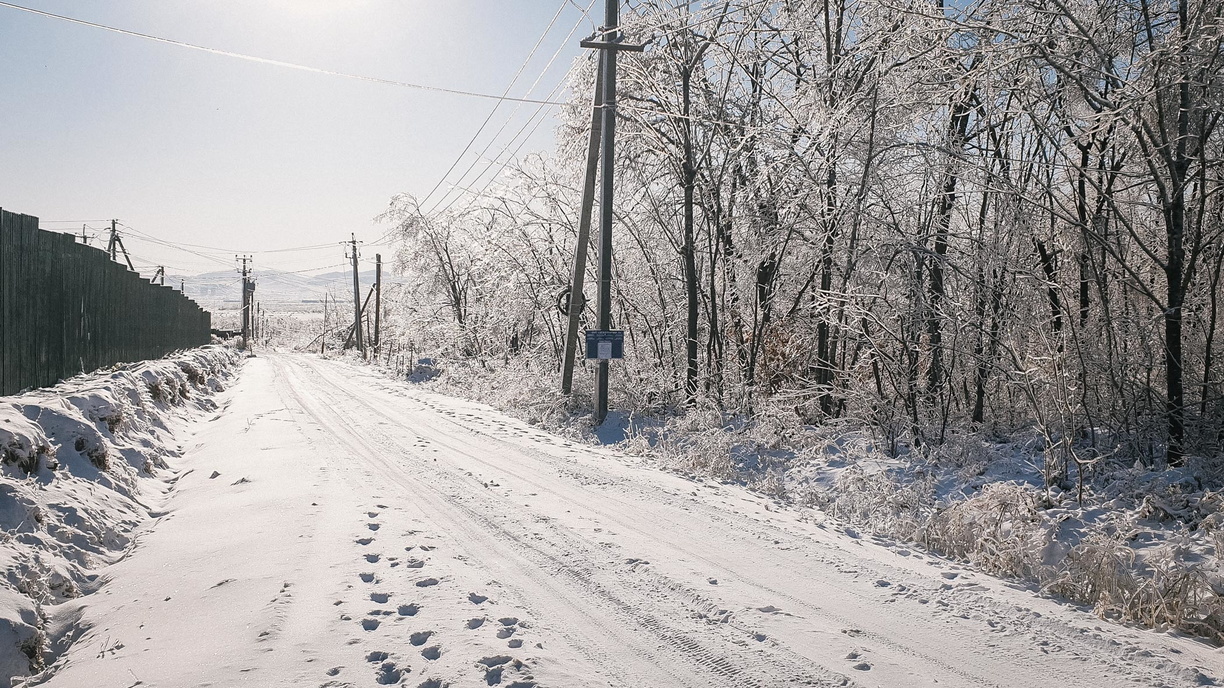 Картина дня в Приморье: пожары, тигр на трассе и убийственный холод