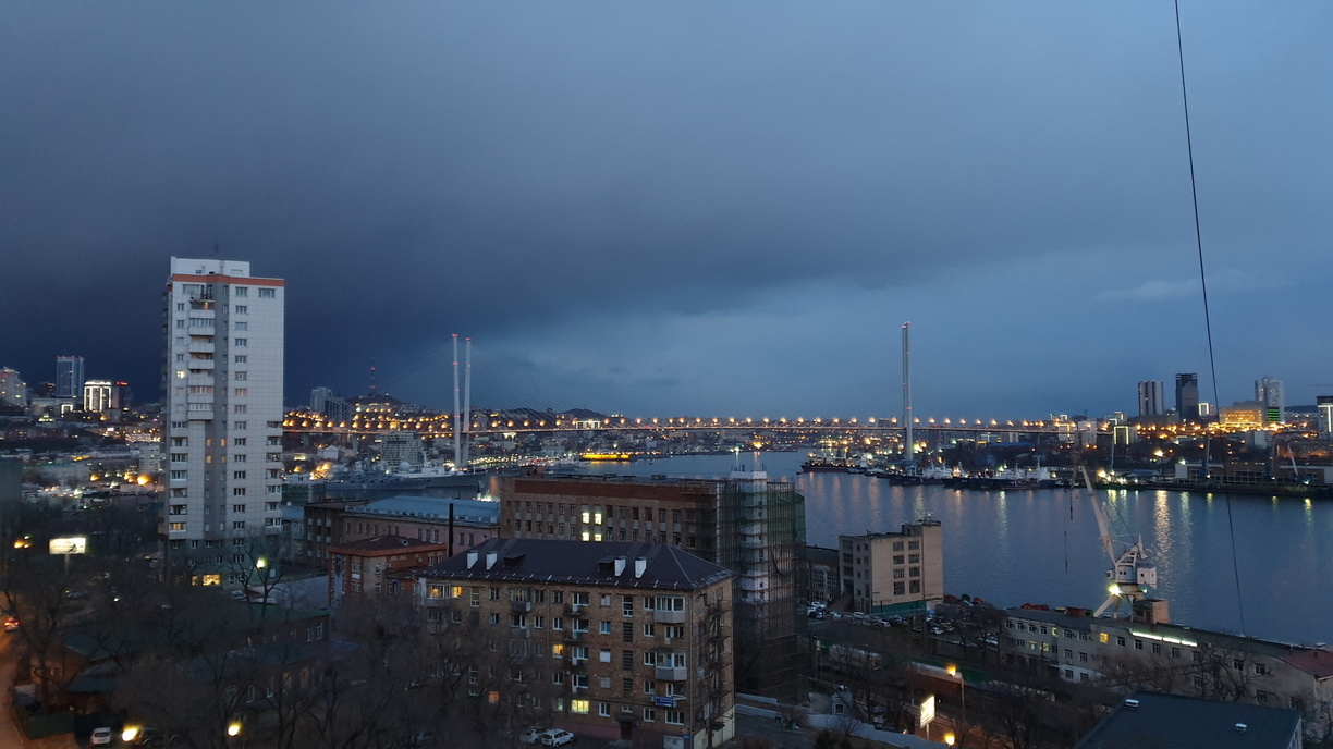 «Выглядит помятой»: жители Владивостока удивились встрече в середине осени