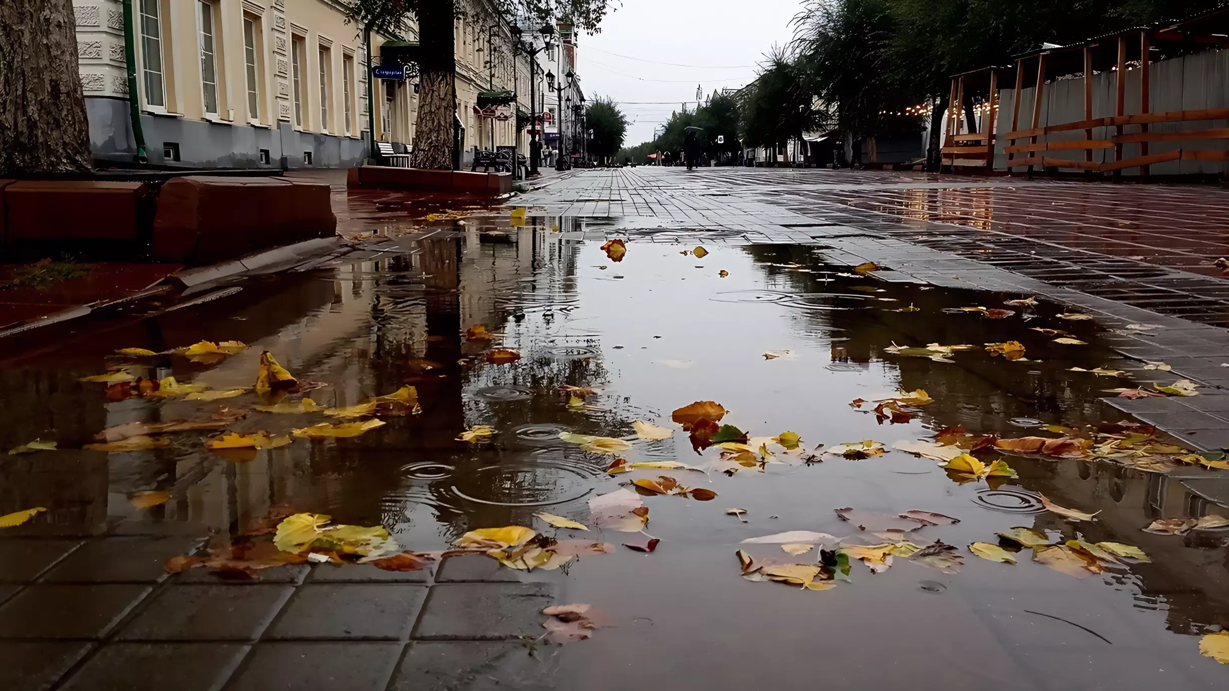 Сигналки срабатывали: жёсткий ночной ливень с грозой третировали Владивосток — видео