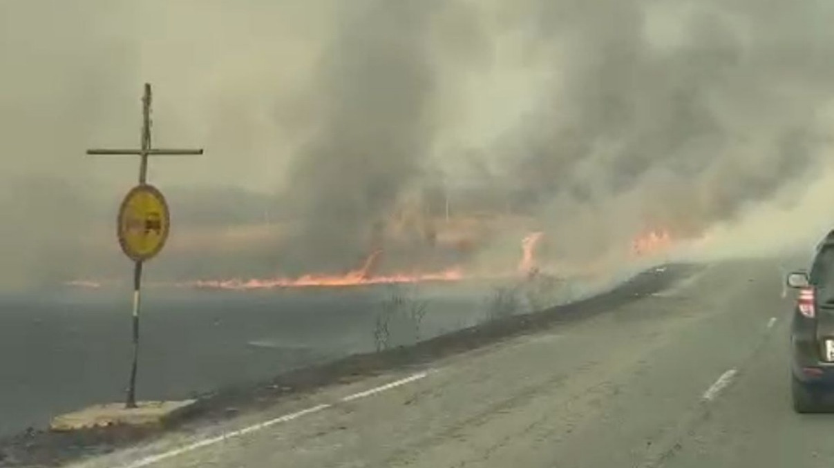 Пожарные отбивают АЗС от огня недалеко от Зарубино в Приморье