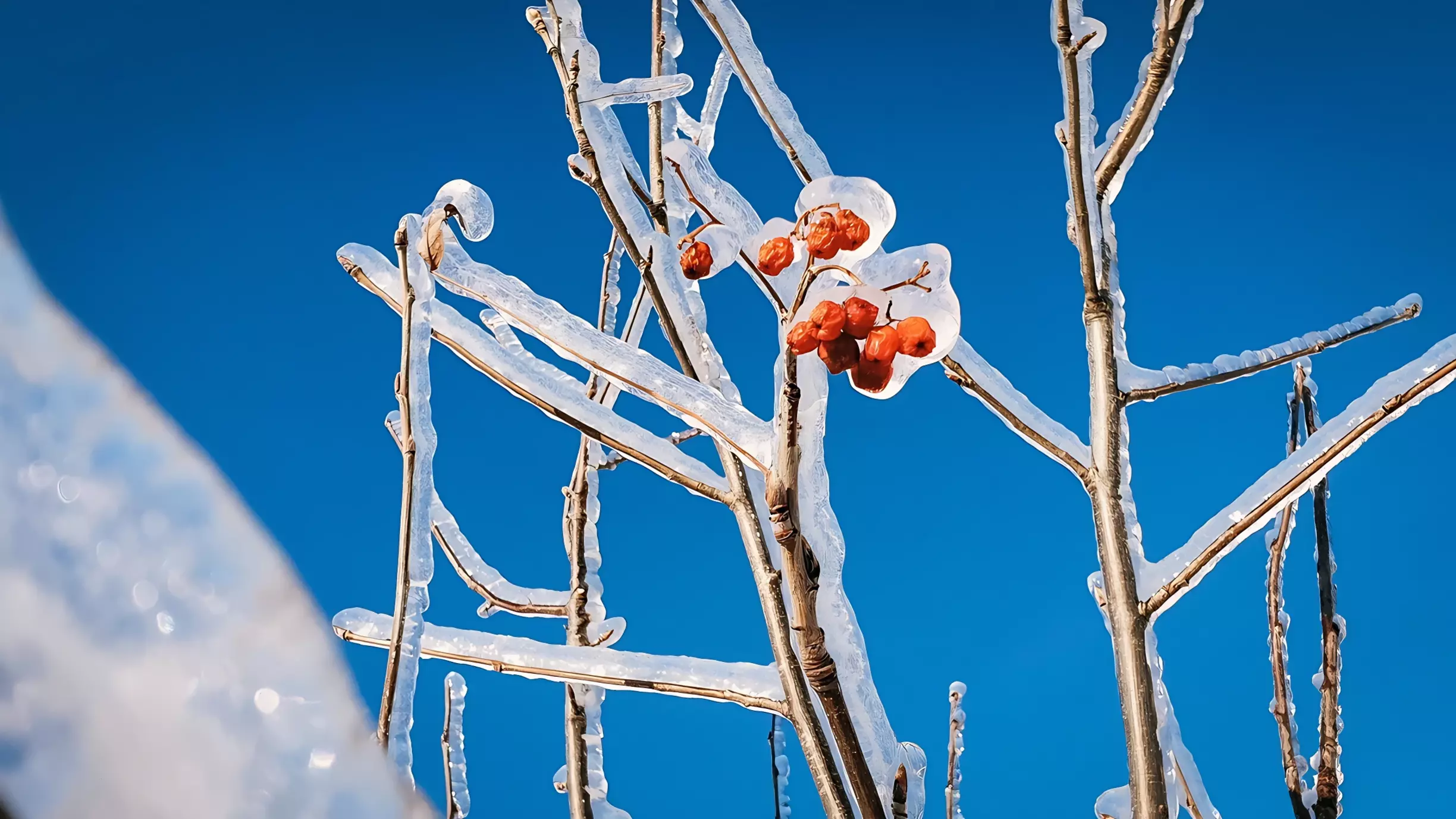 Придёт серьёзное похолодание: прогноз на ближайшие часы в Приморье