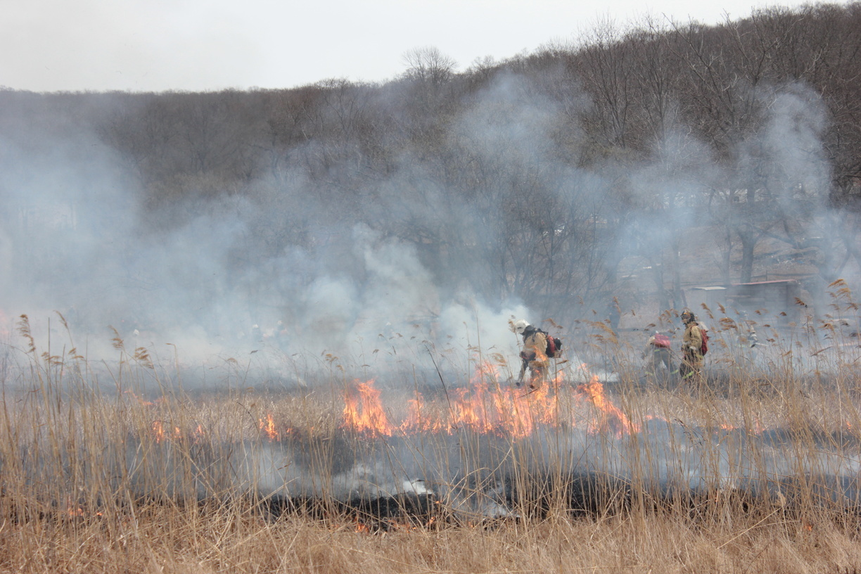 Лесной пожар на острове Путятина движется к морю
