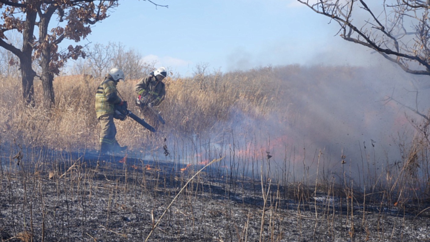 Почти все природные пожары ликвидированы в Приморье