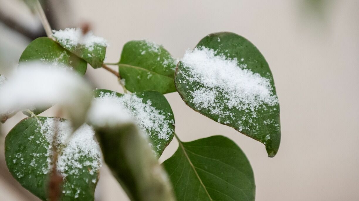 Аномальные морозы ударят по Приморью: объявлено штормовое предупреждение