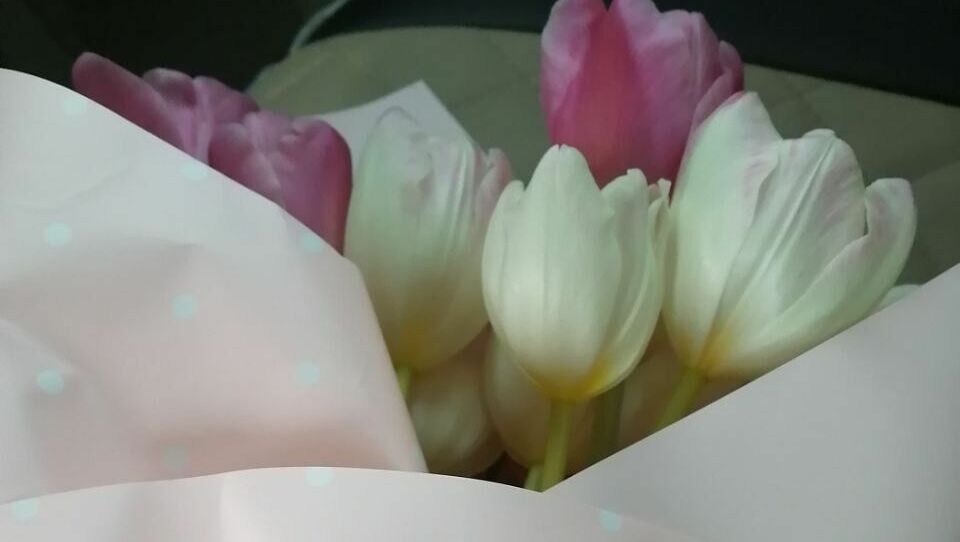 Во Владивостоке назвали адреса продажи цветов на Международный женский день