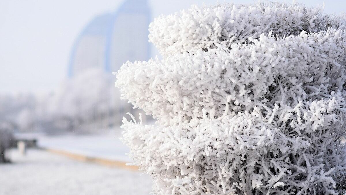 Снег, дождь и гололёд ожидают в Приморье уже в конце недели