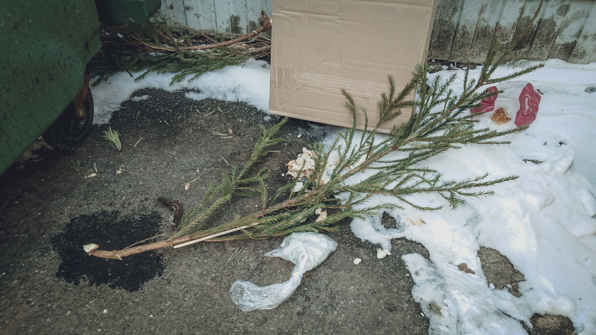 Во Владивостоке местные «Бонни и Клайд» украли ёлку из сквера — видео