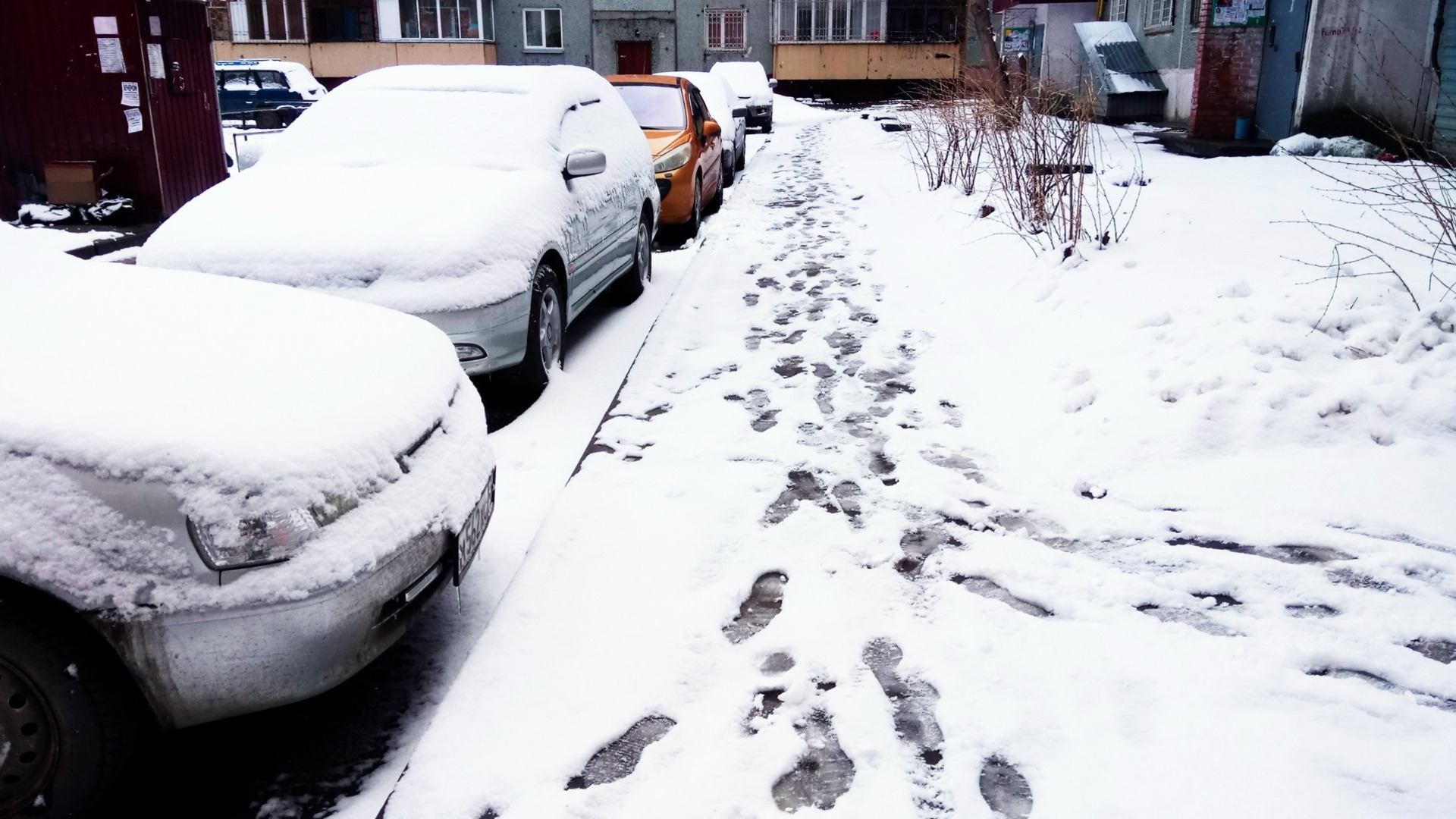 Сильный снег пошел в Лесозаводске в Приморском крае