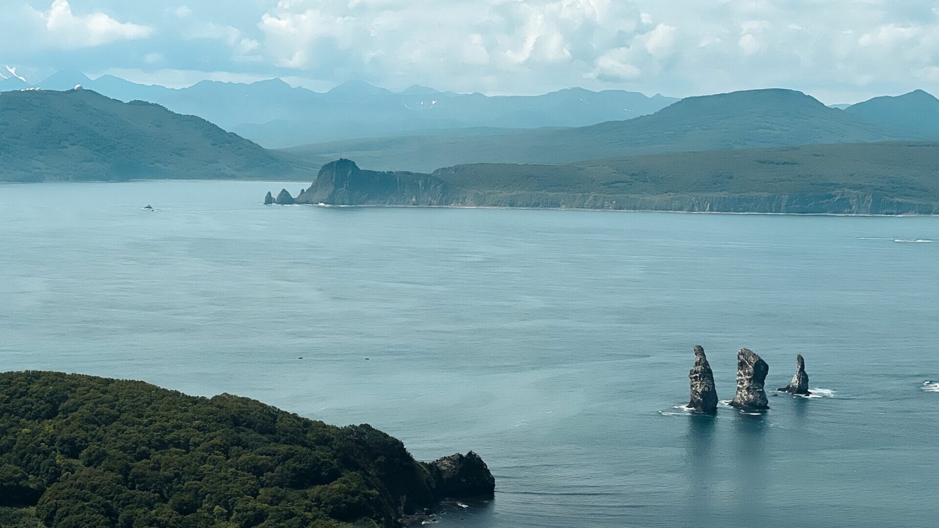 Уникальный танец огромных морских тварей запечатлели мариводы в Приморье — видео