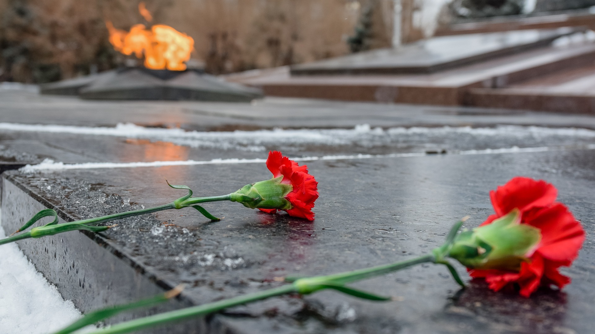 Картина дня в Приморье: годовщина прорыва блокады, памятник бойцам СВО и зимняя рыба