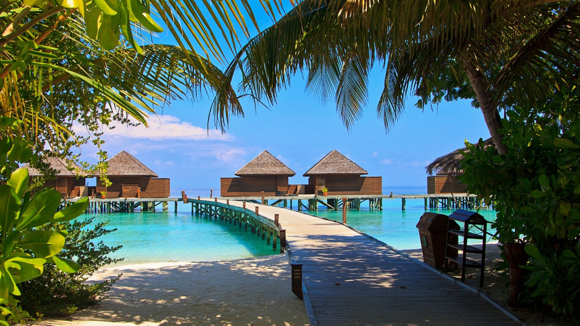 Полмиллиона на отдых — самым дорогим туром стала поездка на Мальдивы
