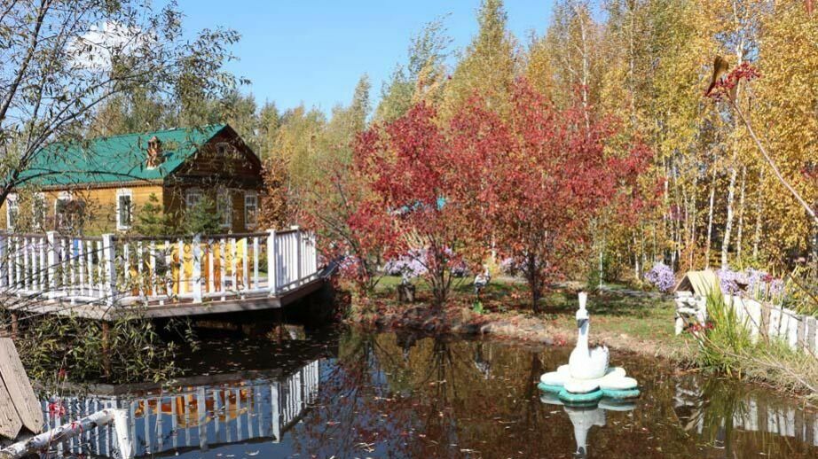 В министерстве туризма Хабаровского края рассказали о мерах поддержки отрасли