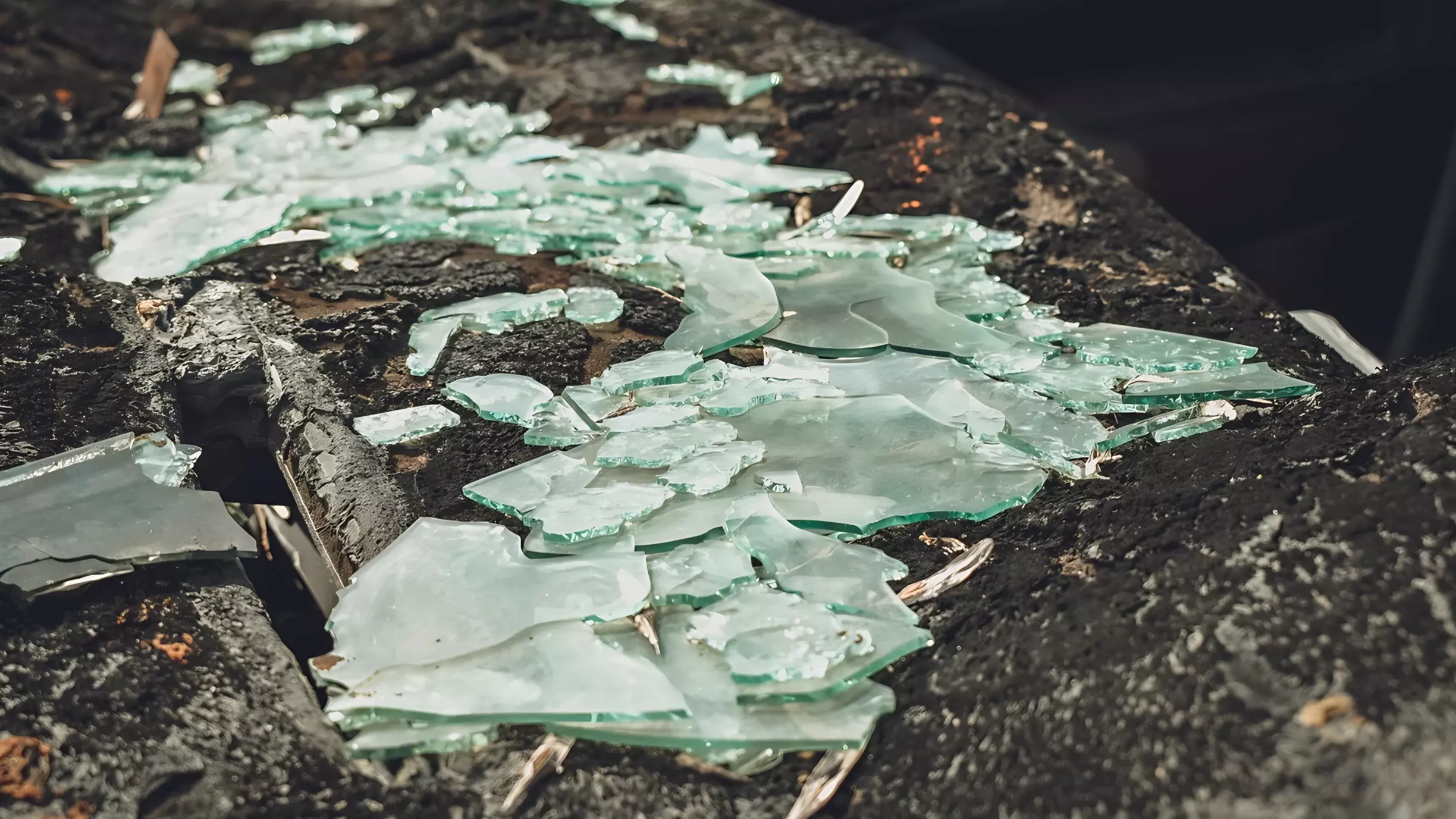 Отыскали вандалов, которые разбили стекло на смотровой площадке в Приморье