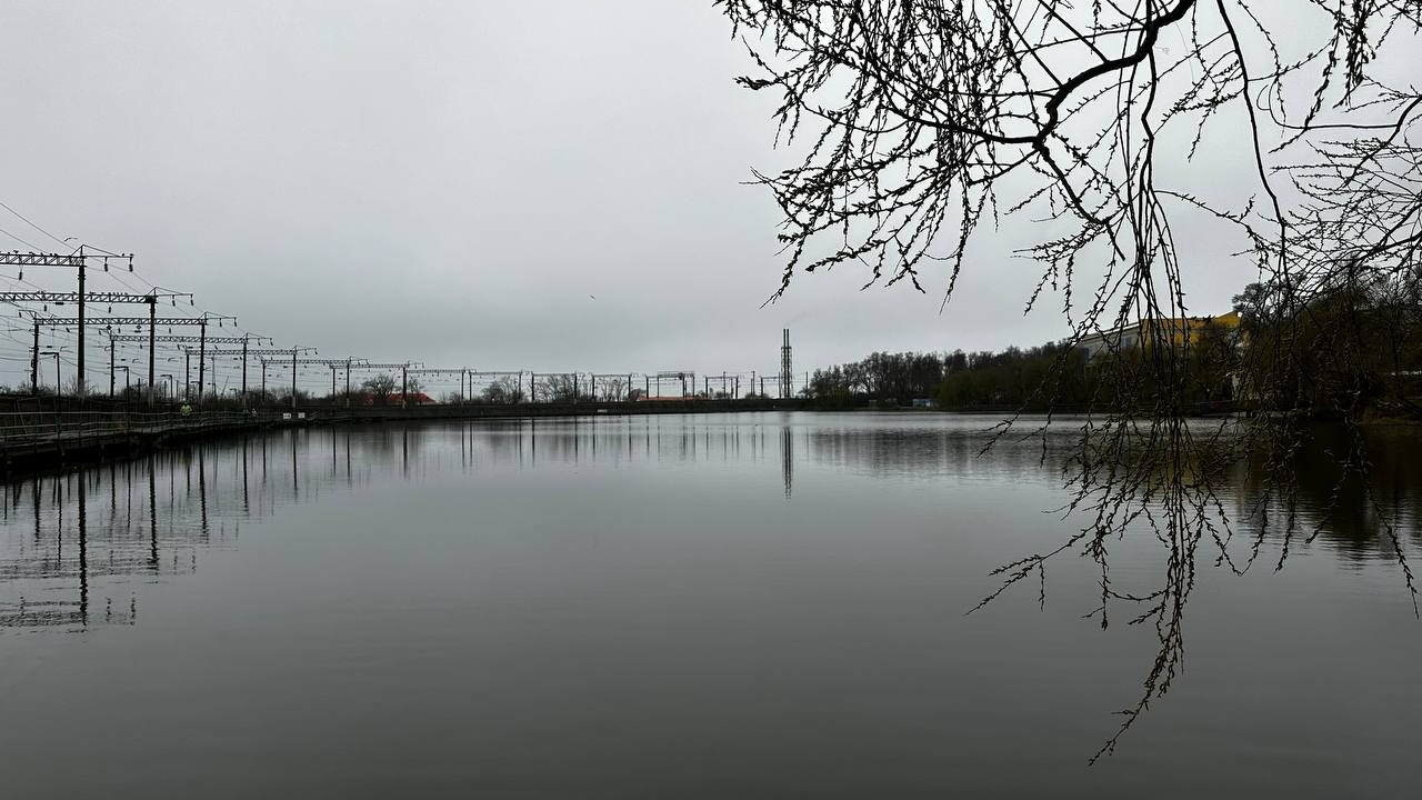 Из-за чего рыба может массово гибнуть в озере Чан во Владивостоке