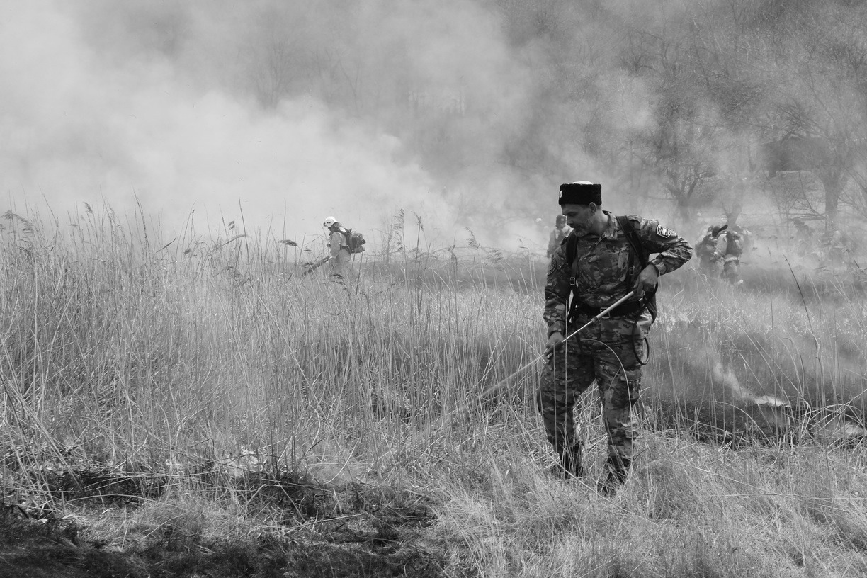 Нашли мёртвым: борьба с лесным пожаром в Приморье закончилась трагедией