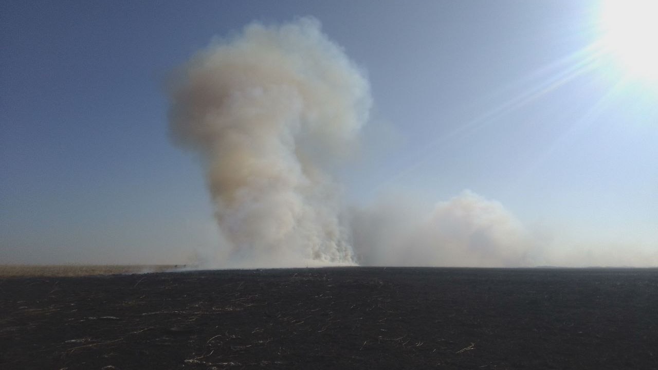 Природный пожар чуть не добрался до уникального Голубиного утеса в Приморье