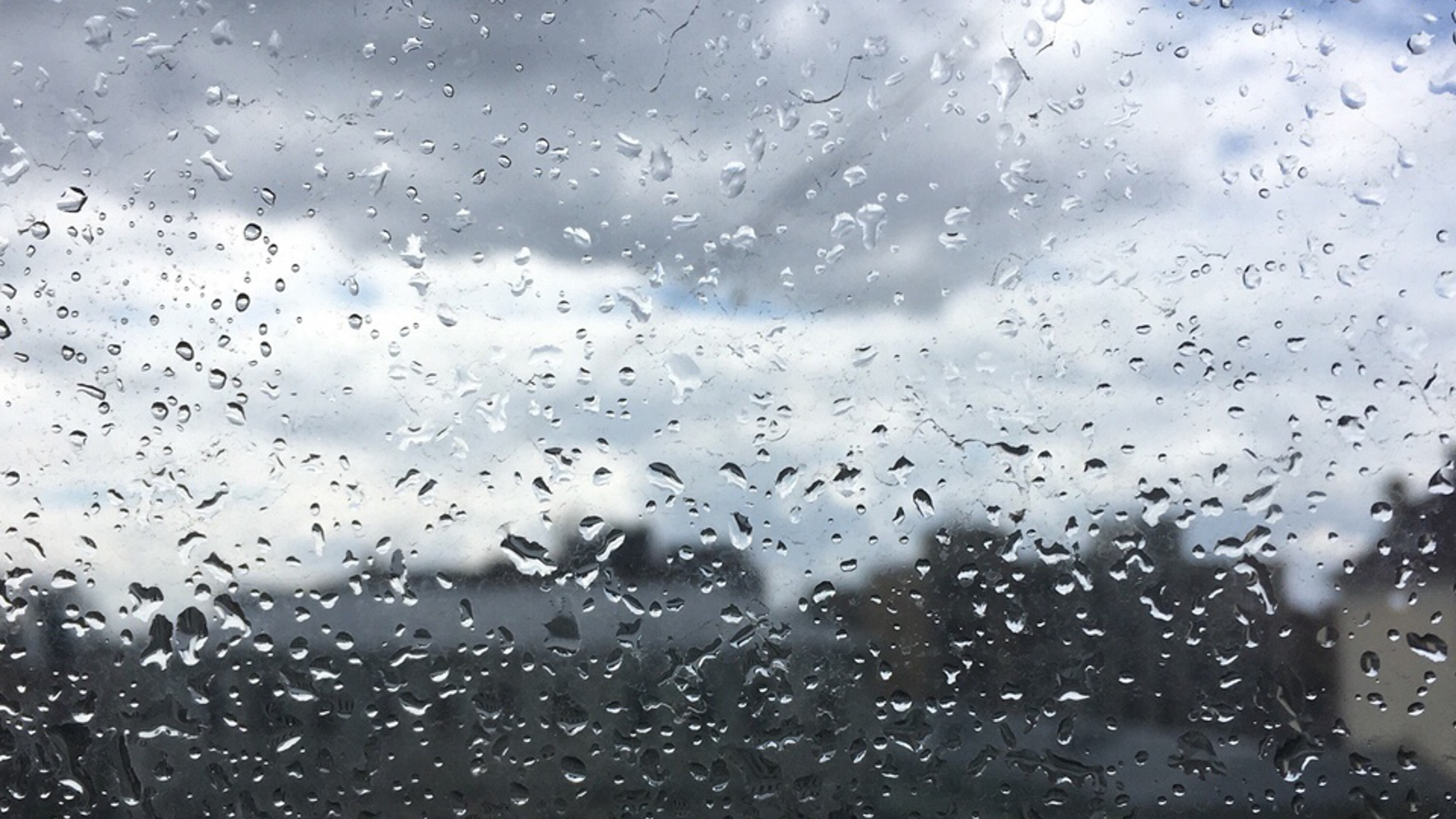 Дожди и похолодание: синоптики рассказали о погоде в Приморье в ближайшие выходные