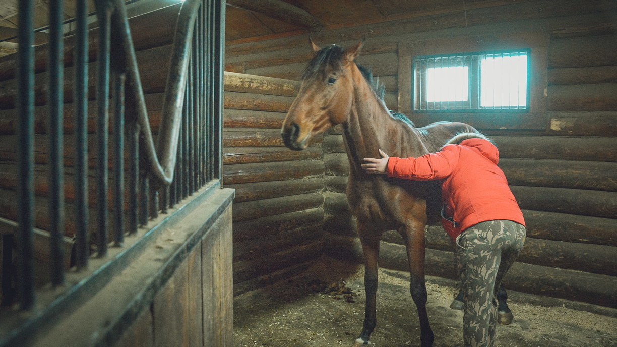 «Кто-то хочет избавиться — ищите врагов»: во Владивостоке обстреливают лошадей