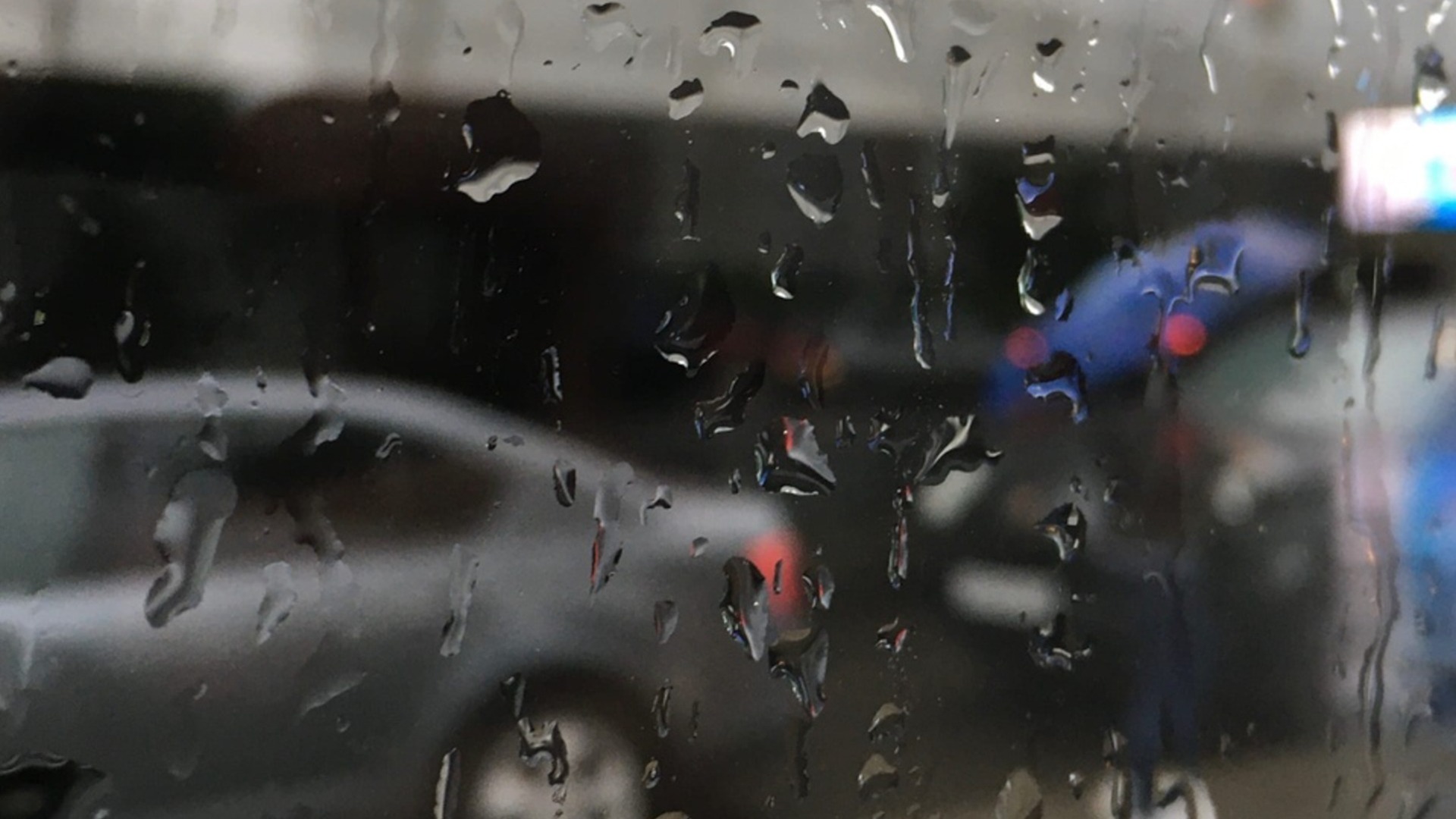 Дождь и сильный ветер: чего ожидать от погоды в ближайшее время в Приморье?