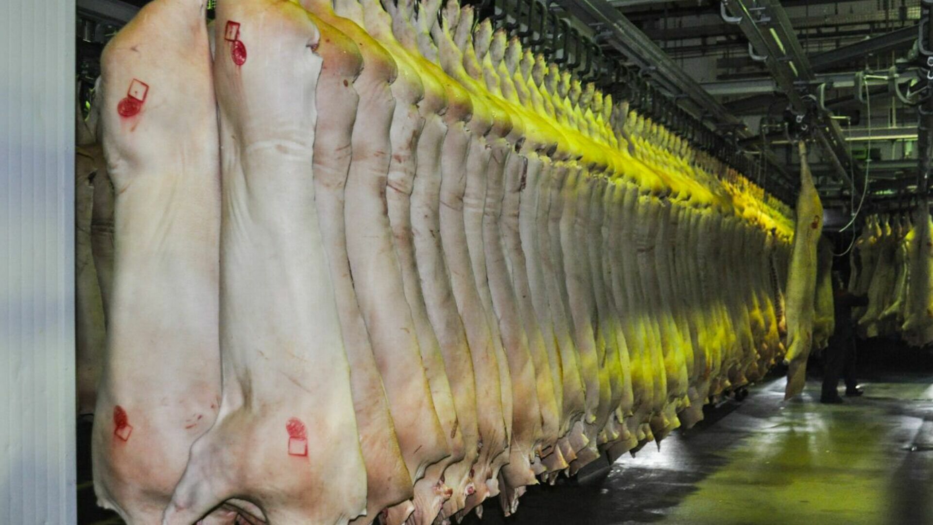 Поставки свинины, сои и кукурузы из Приморья в Китай намерены увеличить