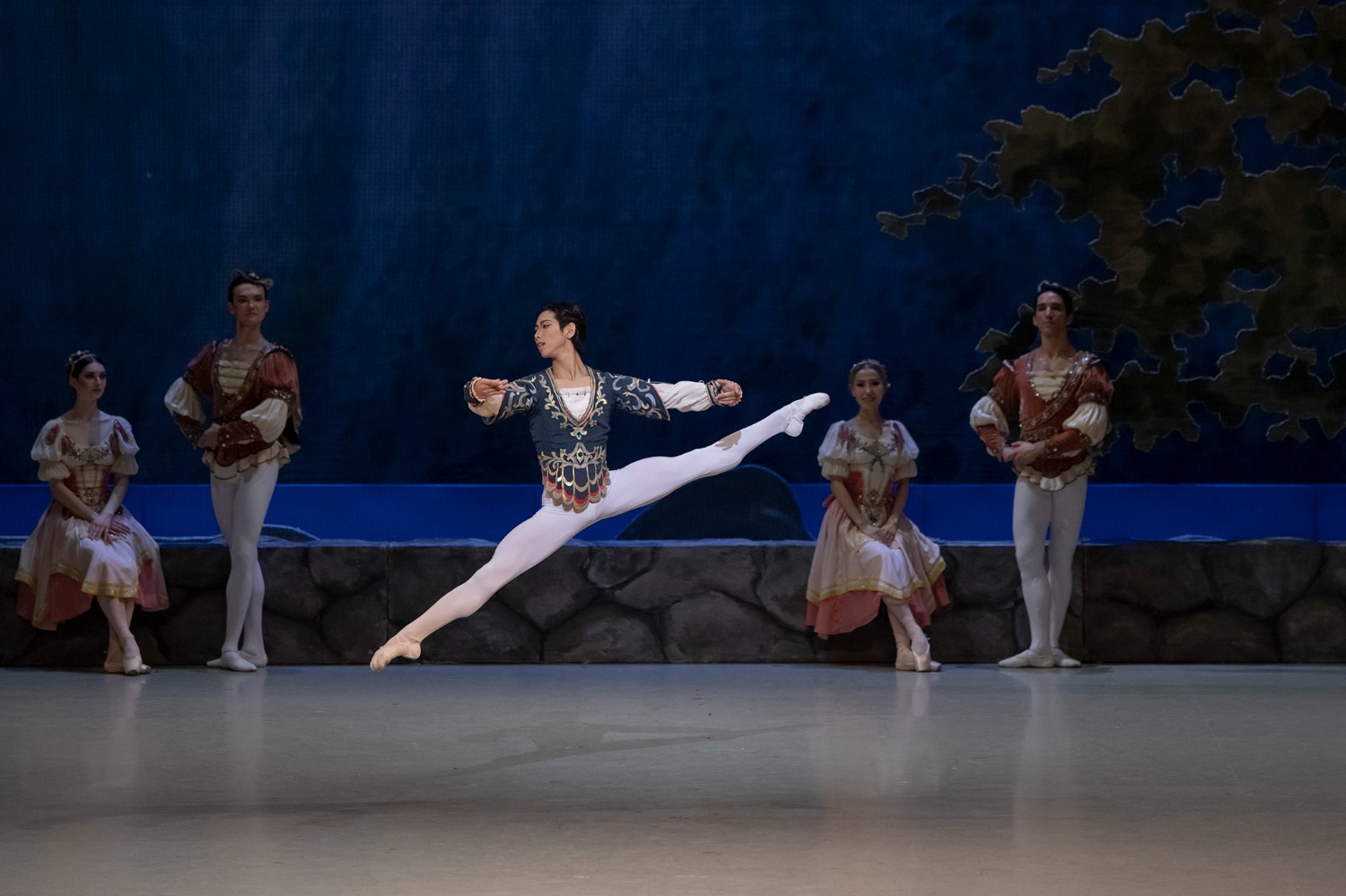 Сцена из балета «Лебединое озеро»