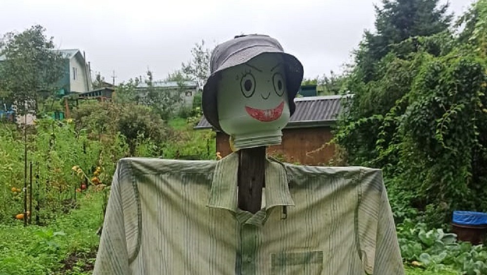 Защита от дождя: жители Владивостока делают специальные куклы на даче