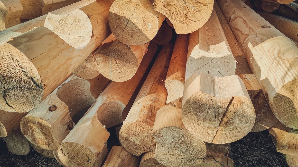 Куда тоннами вывозят лес из Приморья?