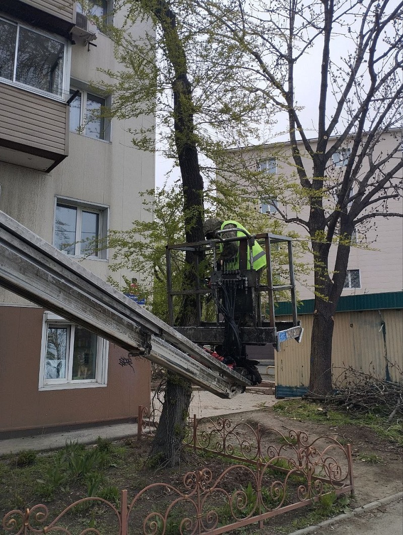 Во Владивостоке планомерно проводится вывоз сучьев, борьба с сорняками