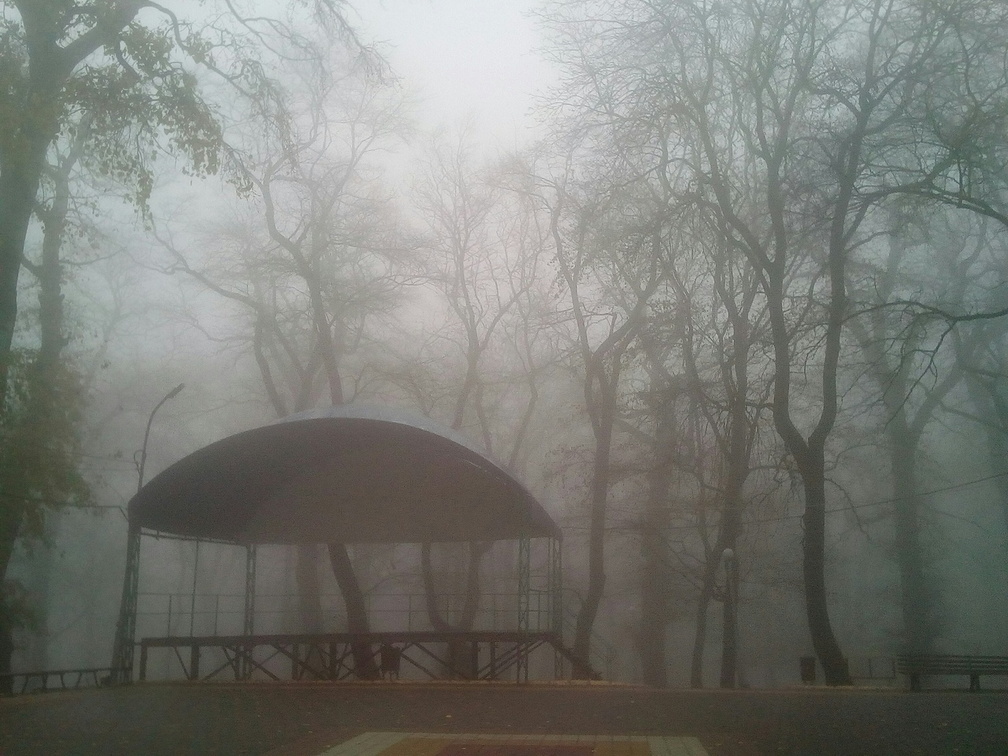 И не такое лечится: жители Владивостока заметили подозрительное в тумане