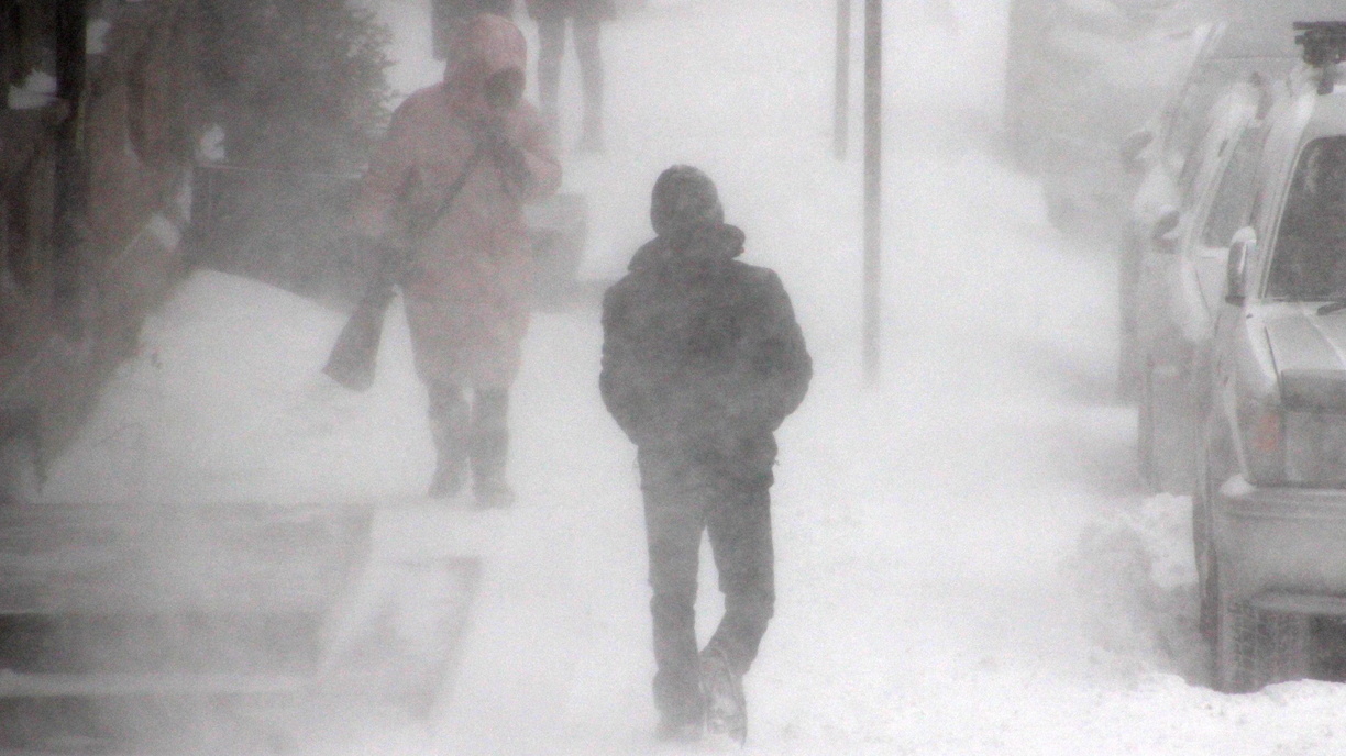 «Преподнесёт сюрприз»: синоптики назвали даты новых снегопадов в Приморье