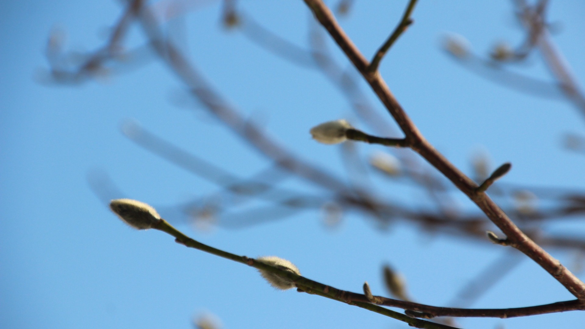 Весна «отвоевывает» Приморский край у апрельских снегов
