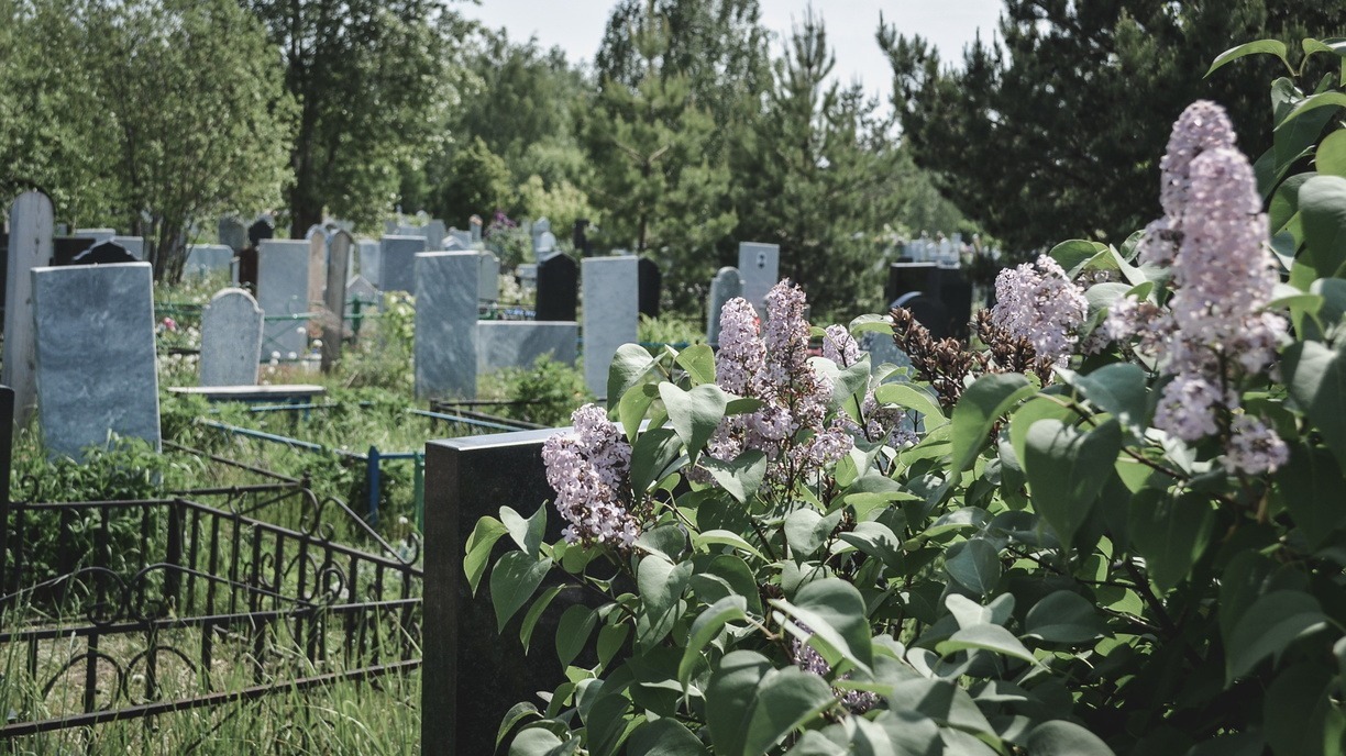 «Надеюсь, он пустой»: на кладбище в Приморье в кустах нашли гроб