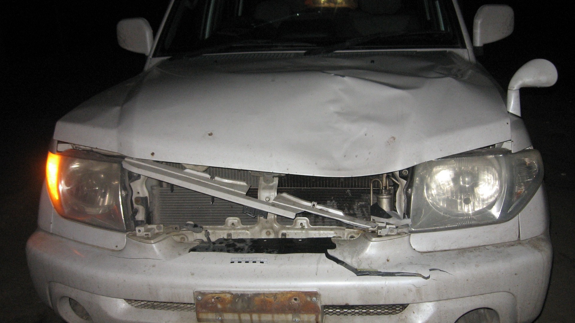 Автоугонщик влетел в дерево на чужом автомобиле в Приморье — подробности