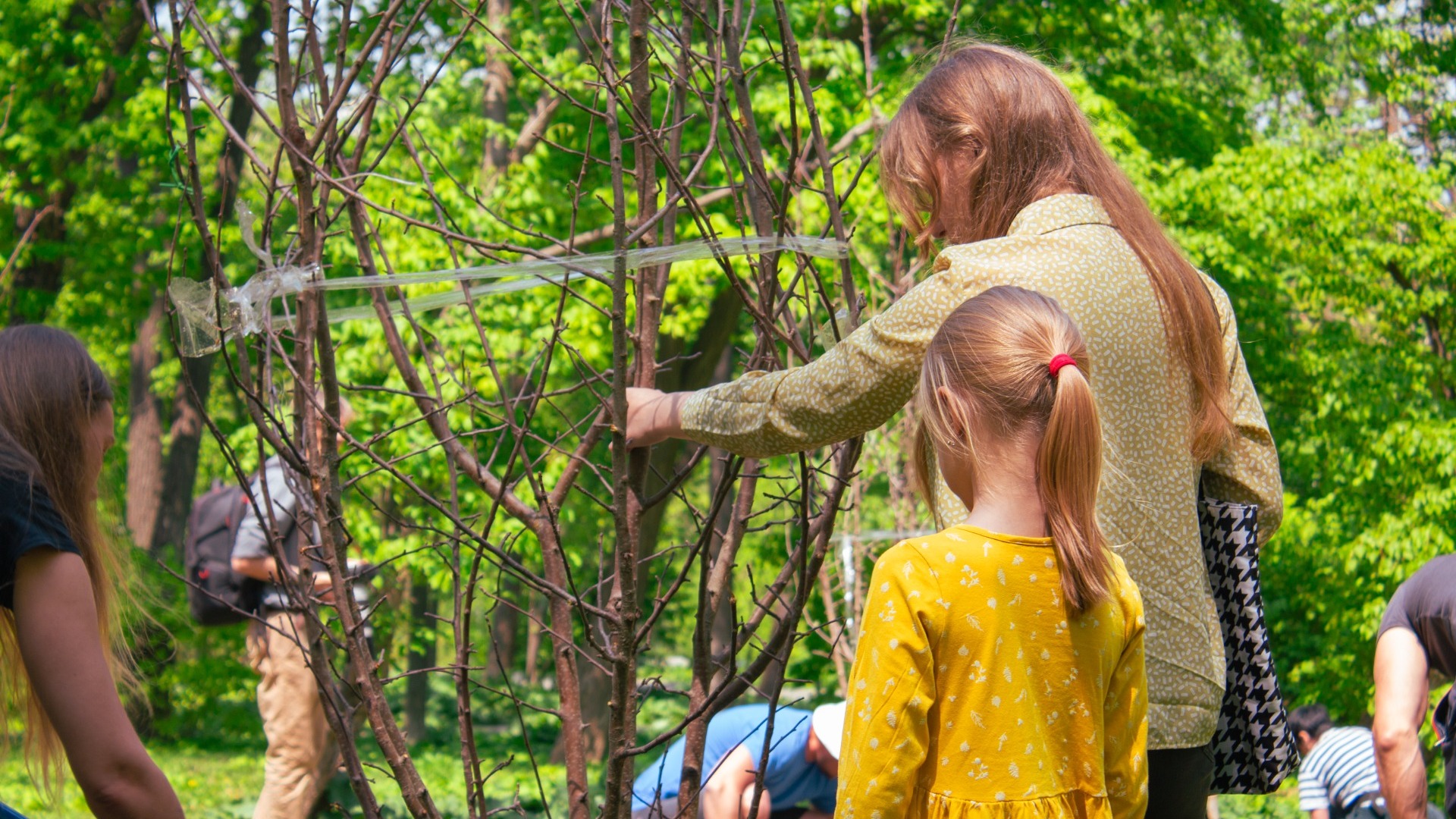 Яблоневый сад: семьи высадили деревья-символы процветания во Владивостоке