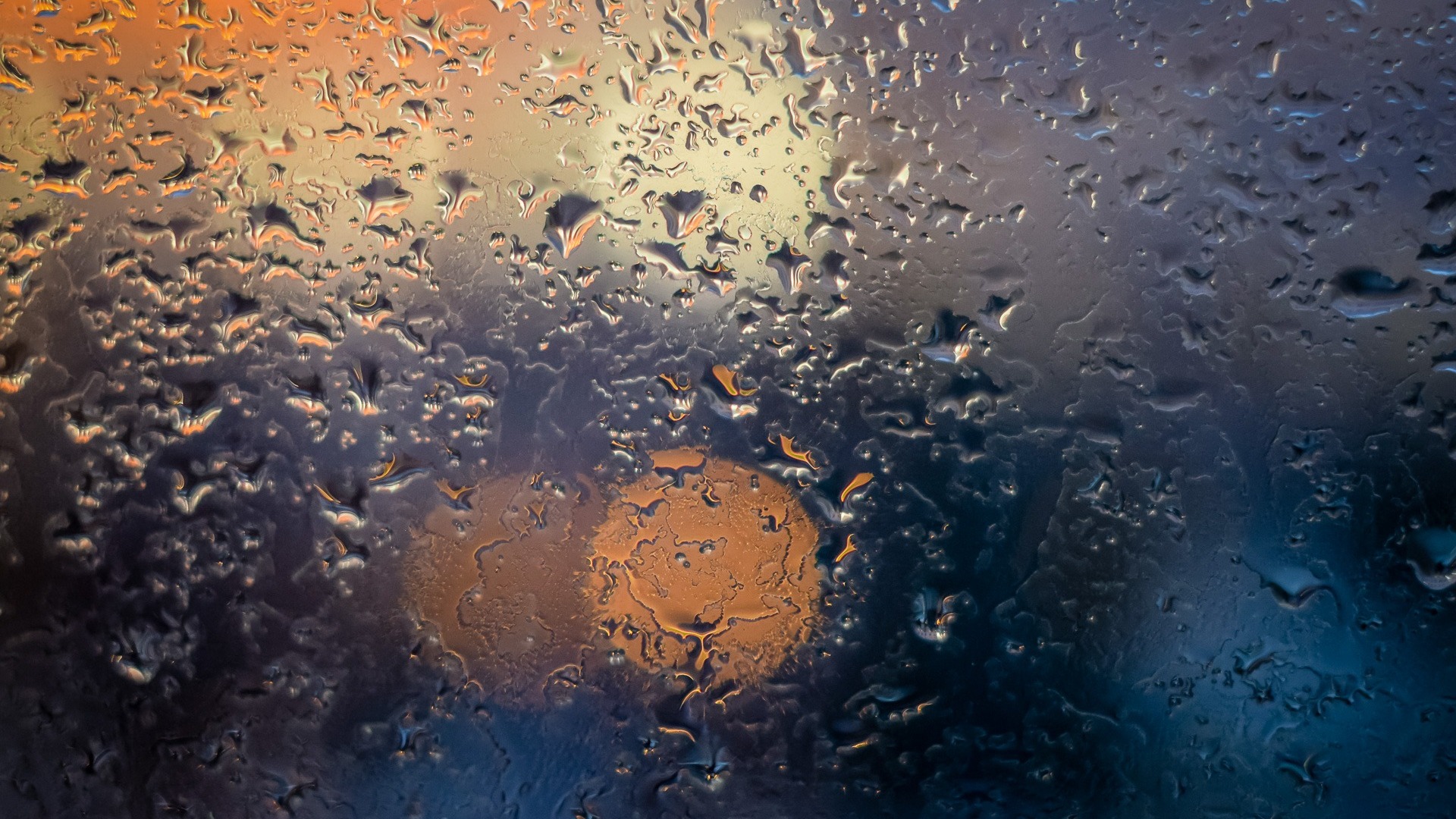 До +31°C и дожди: переменчивая погода ожидает Приморье