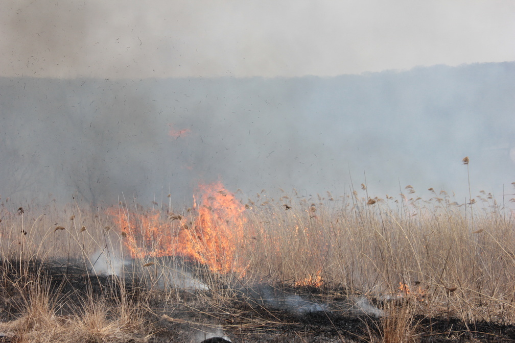В Хабаровском крае идет борьба. С лесными пожарами