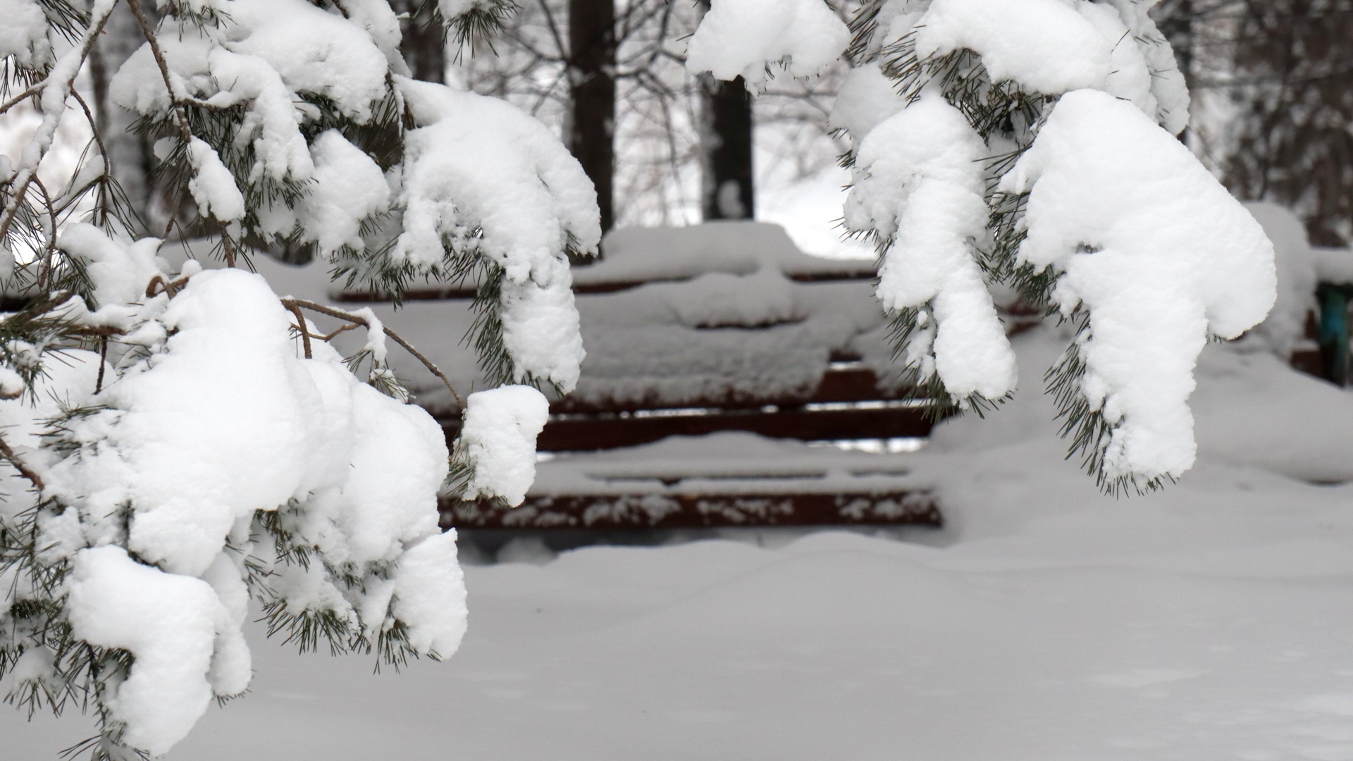 Ветер, снег и гололёд на дорогах: чего ожидать от погоды в Приморье
