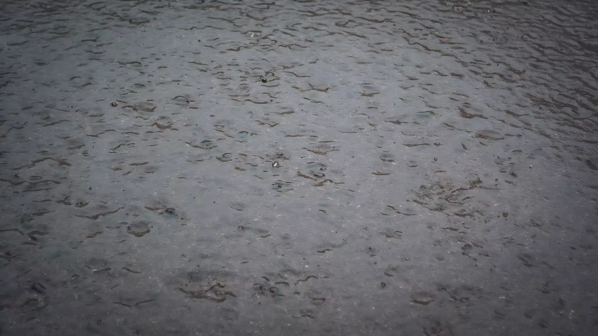 Жесткий удар мороза: увиденное на льду рассмешило жителей Приморья