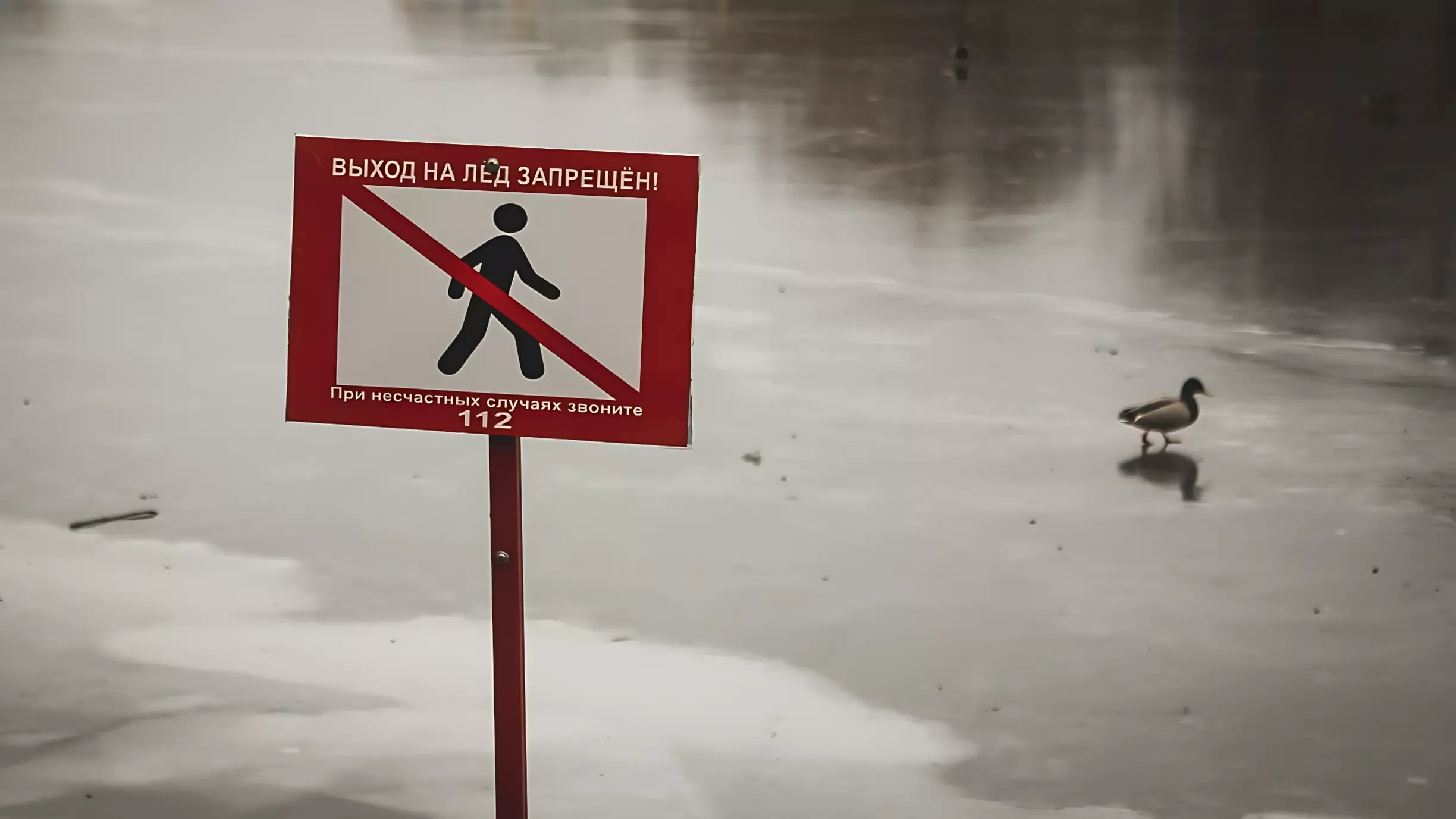 Автомобиль провалился под лед залива во Владивостоке