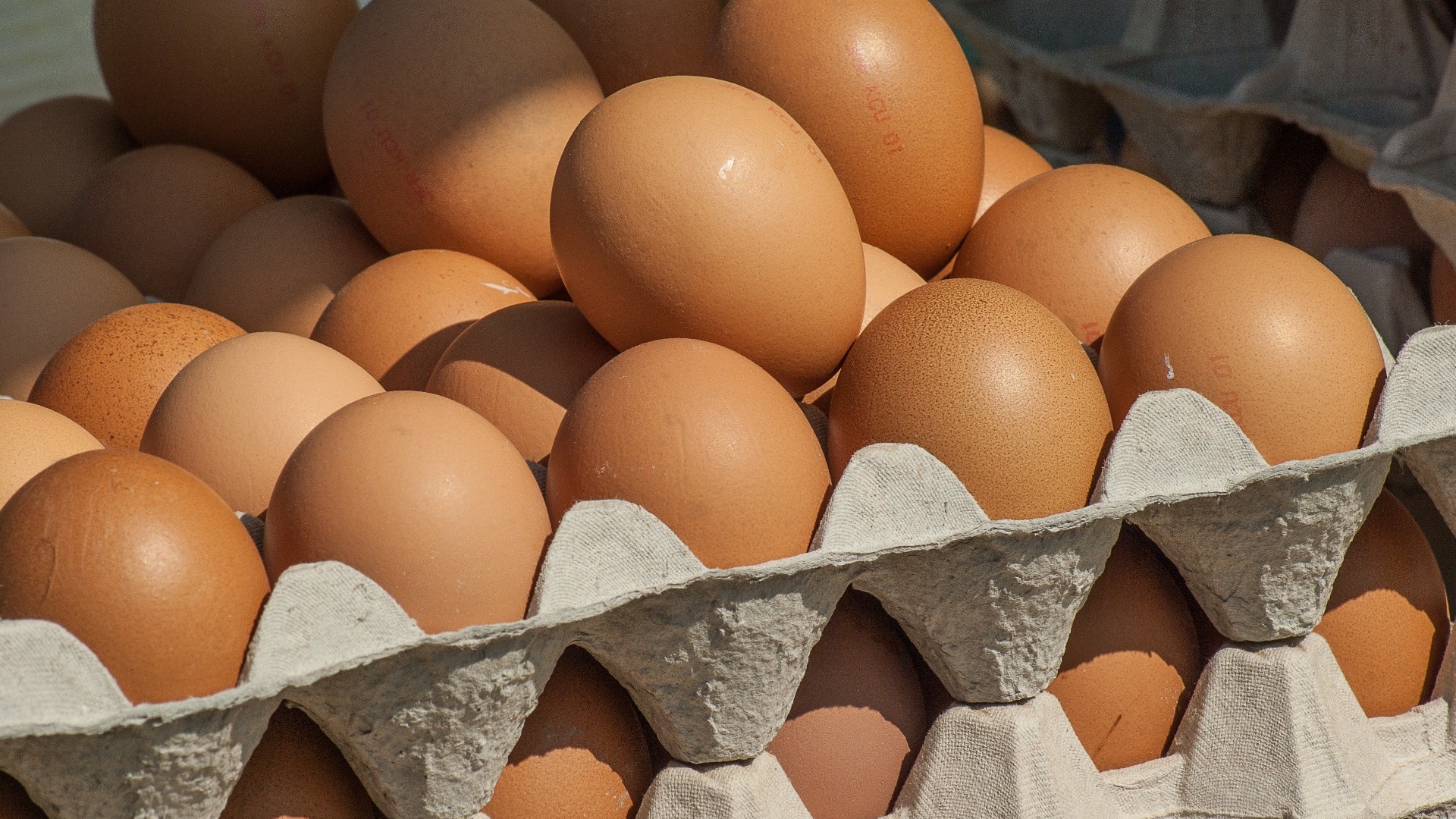 Господдержку приморских производителей яиц увеличат в два раза