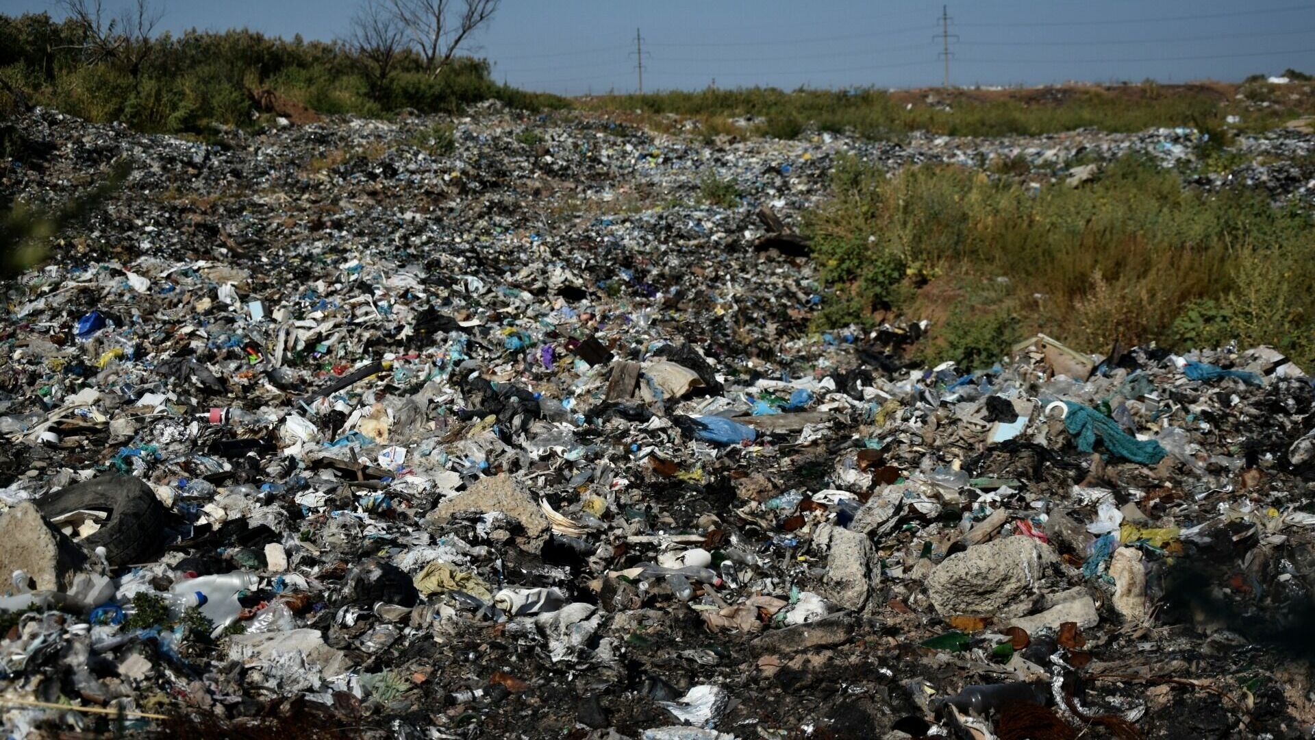 Смердящие нечистоты заполонили один из главных вузов Владивостока
