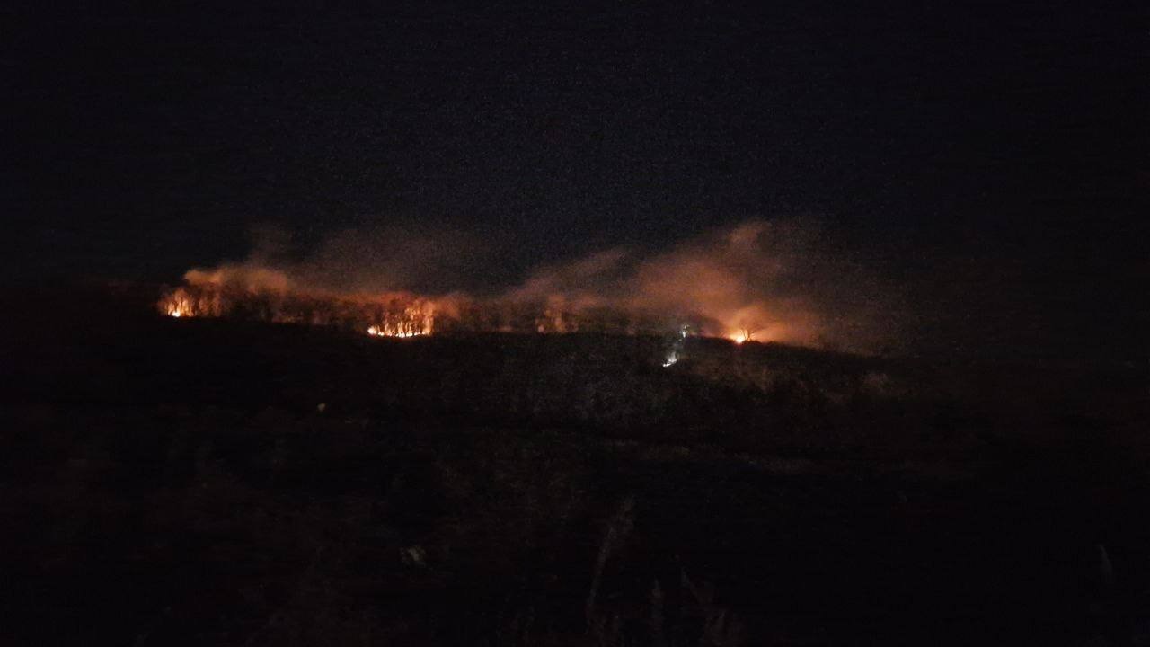 МЧС тушит большой лесной пожар на Тихой во Владивостоке
