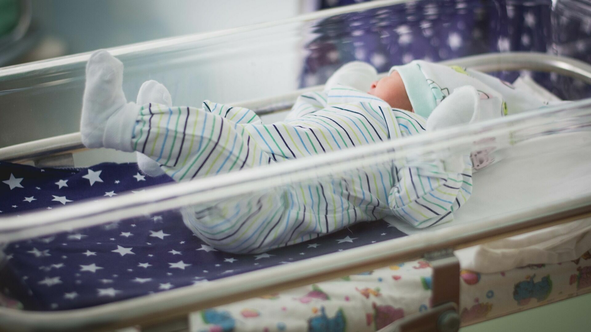 В Приморье заработала новая мера поддержки семей с новорождённым