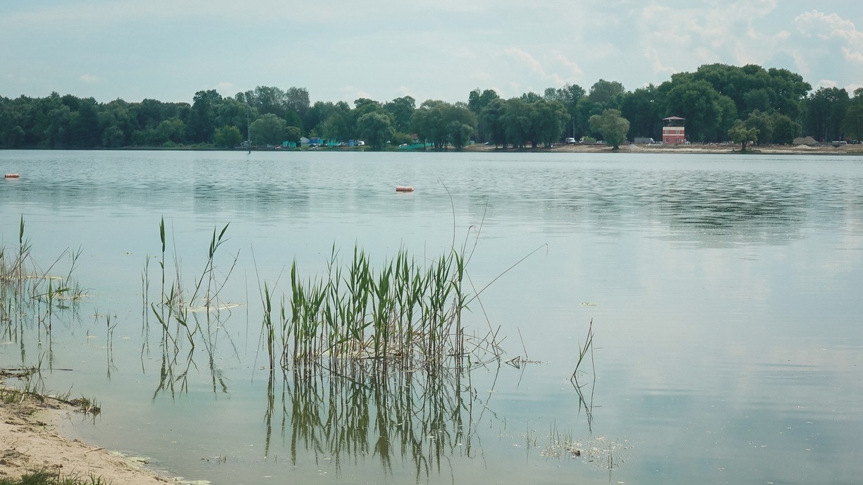 Будет вода: «народный синоптик» зафиксировал подъем уровня рек в Приморье