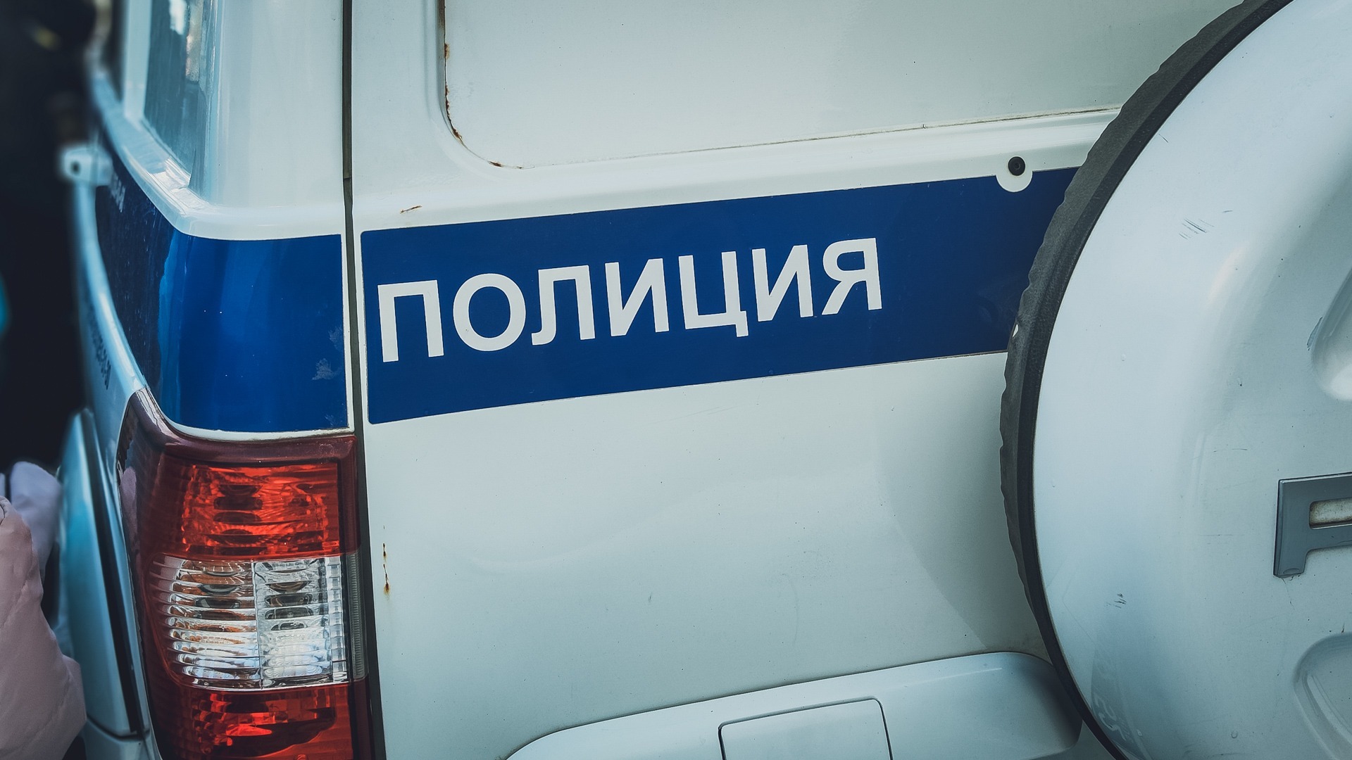 Благородство проявили полицейские в Приморском крае, спасая щенка