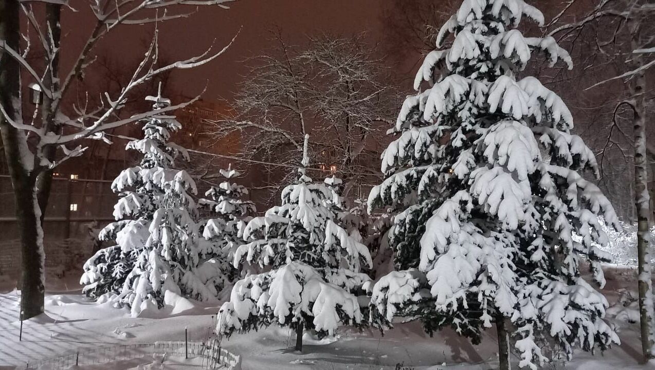 В новогоднюю ночь во Владивостоке будет ясно и морозно