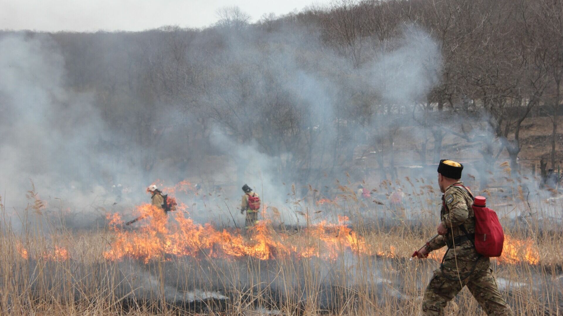 От 10 до 800 тысяч рублей заплатят поджигатели лесов в Приморском крае