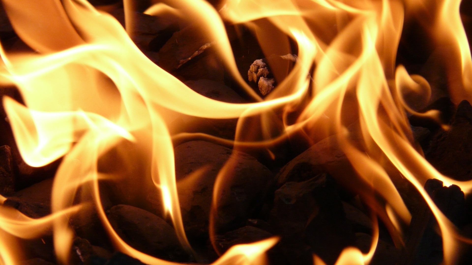 Приморье горит: пламя поглощает все на своем пути. Часть первая