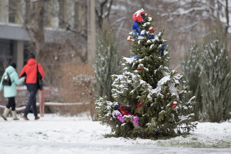 «Вам подарочек»: приморцы начали получать путинские выплаты к Новому году